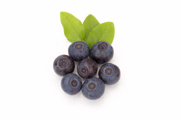 Blueberries with leaves on white background