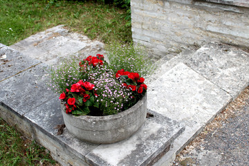 Garden pot with flowers