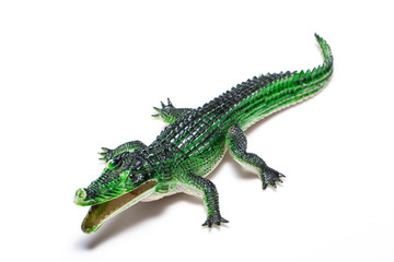 Crocodile toy on white background