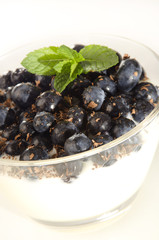 yogurt with blueberries and chocolate rasps