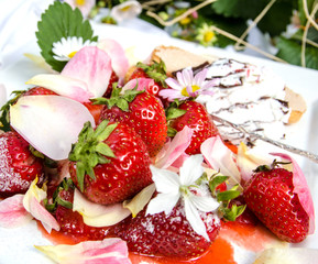 Dessert: Lecker-fruchtiger Genuss mit Erdbeeren, Eis und Biskuit