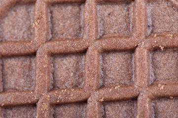 Chocolate cookies