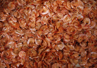 Dried salted Prawn
