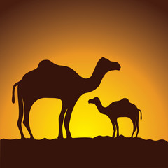 caravan of camels, vector image design