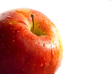 isolated red apple
