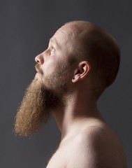 Man with Goatee Beard - 53716161
