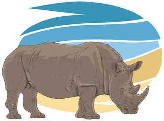 Rhino Illustration