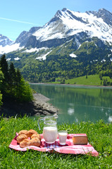 Milk, cheese and bread served at a picnic in an Alpine meadow, S