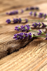 lavender on desk