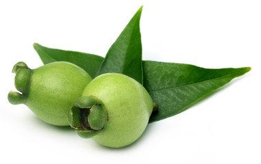 Syzygium jambos locally known as golapjam in Bangladesh