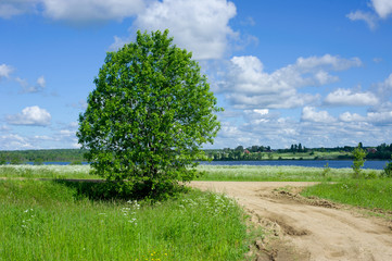 the rural road in the field