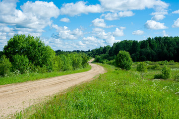 Fototapeta na wymiar drogi wiejskiej w dziedzinie przez drzewa