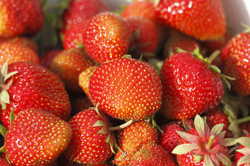 Erdbeeren