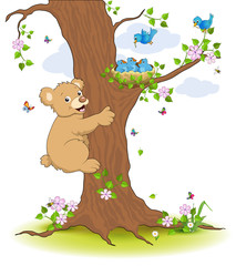 Jungbär klettert zum Vogelnest