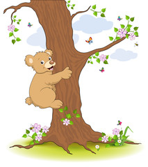 Bär klettert am Baum