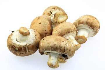 マッシュルーム