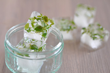 Kräuter Eiswürfel