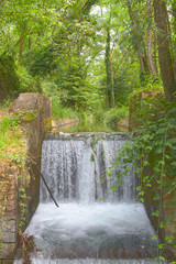 Waterfall in the wood