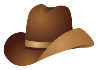 Brown cowboy hat