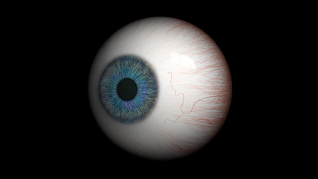 Eyeball close up.