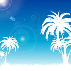 Fototapeta na wymiar blue palm beach summer presentation