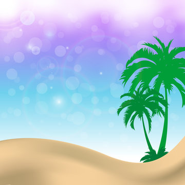 palm trees summer background