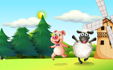 A pig and a sheep playing near the windmill
