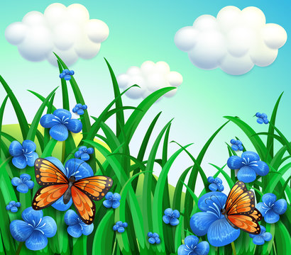 A garden with blue flowers and orange butterflies