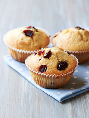 Cranberry Muffins