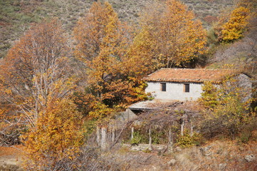 work house in Guijo