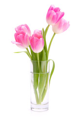 Pink tulips bouquet in vase isolated on white background