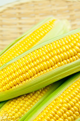 トウモロコシ