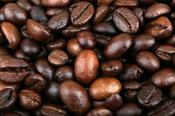 Coffee bean