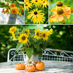 Herbstblumen Collage - Autumn flowers collage