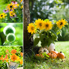 Herbstblumen Collage - Autumn flowers collage