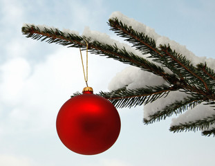 Red glass ball hanging on the snowy twig of the spruce