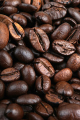 Coffee bean