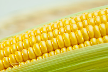 トウモロコシ
