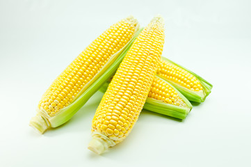 トウモロコシ