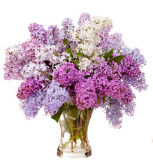 Lilacs in a glass vase