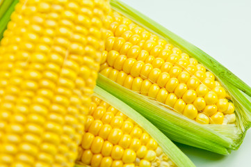 トウモロコシ