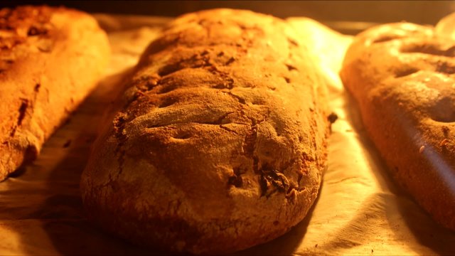 timelapse of bakong the bread close up