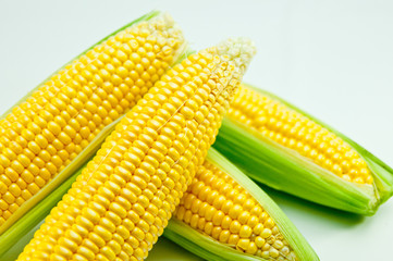 トウモロコシ