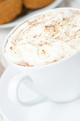 close-up of cocoa with cinnamon, whipped cream, selective focus