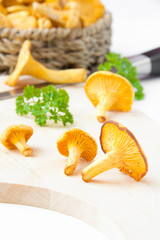 Fresh, raw golden chanterelles, autumn  harvest on desk