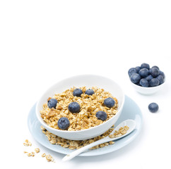 homemade muesli and bowl of blueberries, horizontal
