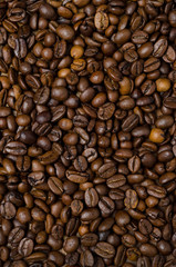 roasted coffee beans background, vertical
