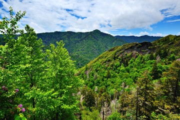 Fototapeta na wymiar Smoky Mountains