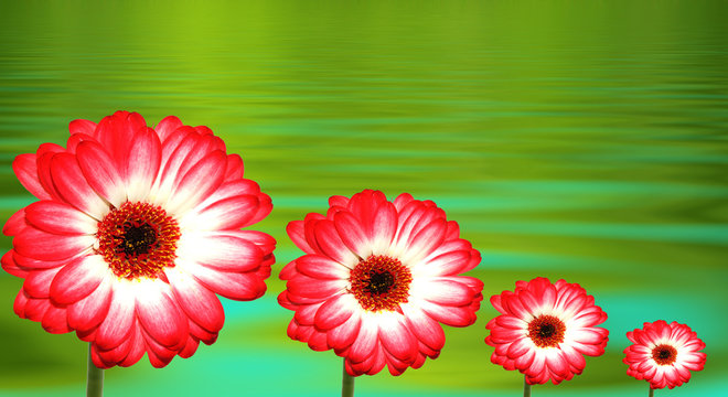 Blumen