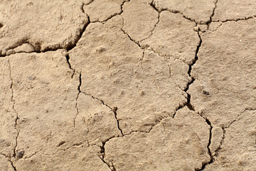 dry background